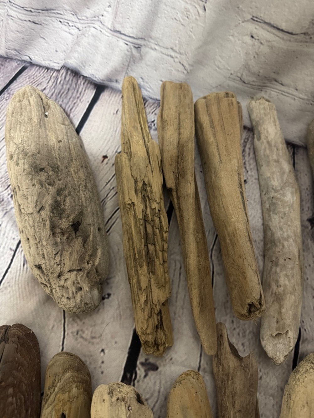 20 pieces PNW Pacific Ocean Grays Harbor Natural Driftwood Home Accent Bundle - Picture 3 of 17